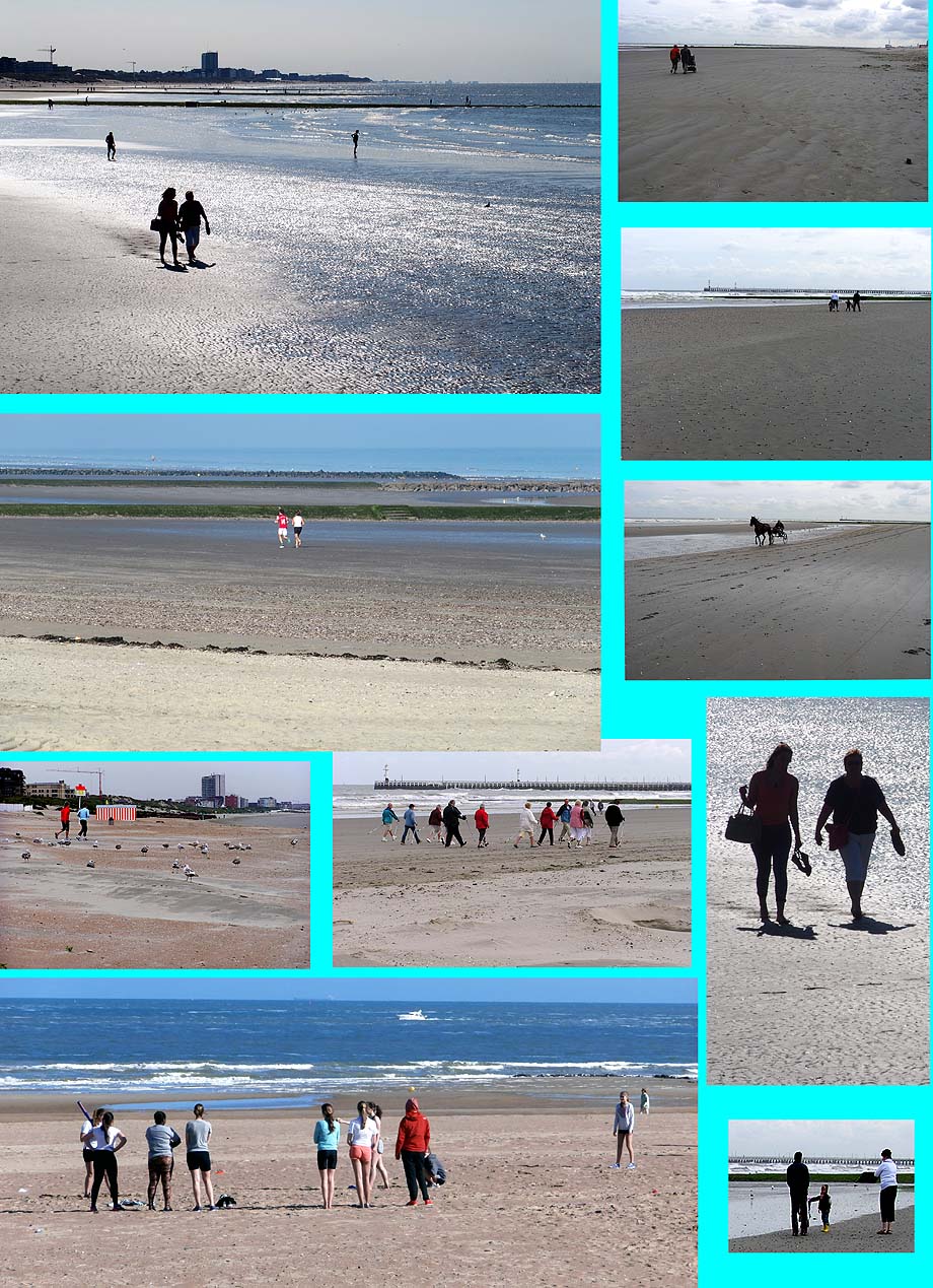 collage strand laagwater